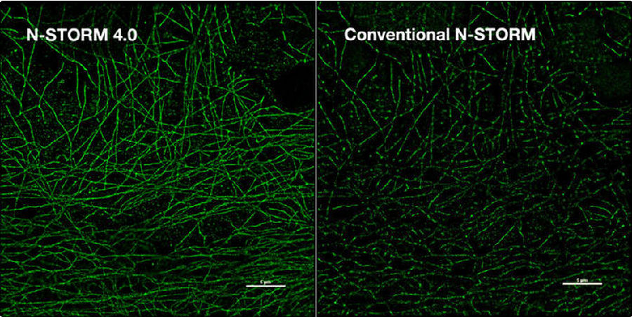 N-STORM 4.0超分辨率显微镜成像图.png