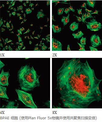 Multizoom AZ-C2+显微镜观察图1.jpg
