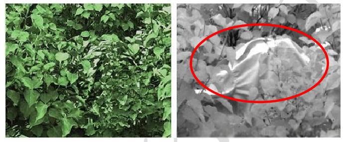 1575652194462408.png 222.png