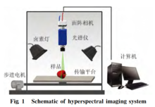 1576511535445527.png 图片7.png