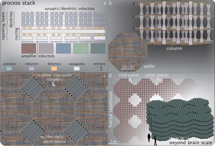 1621474698895085.png 光电超导神经系统的结构.png