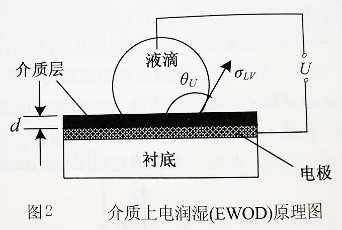 1659602930528423.jpg 图2.jpg